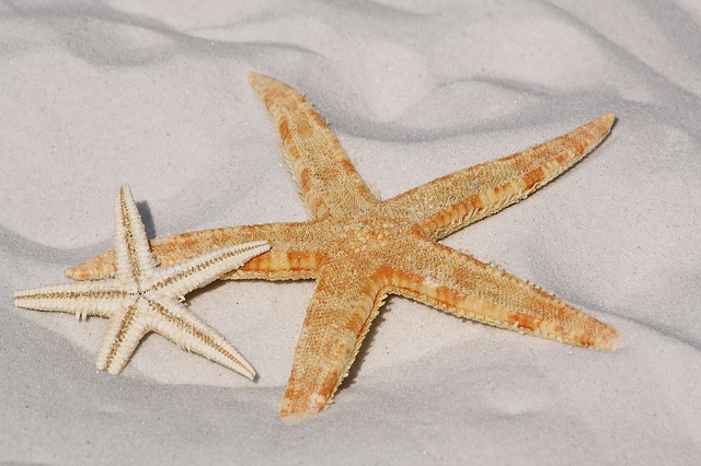 Rund um das Thema Packen für den Urlaub